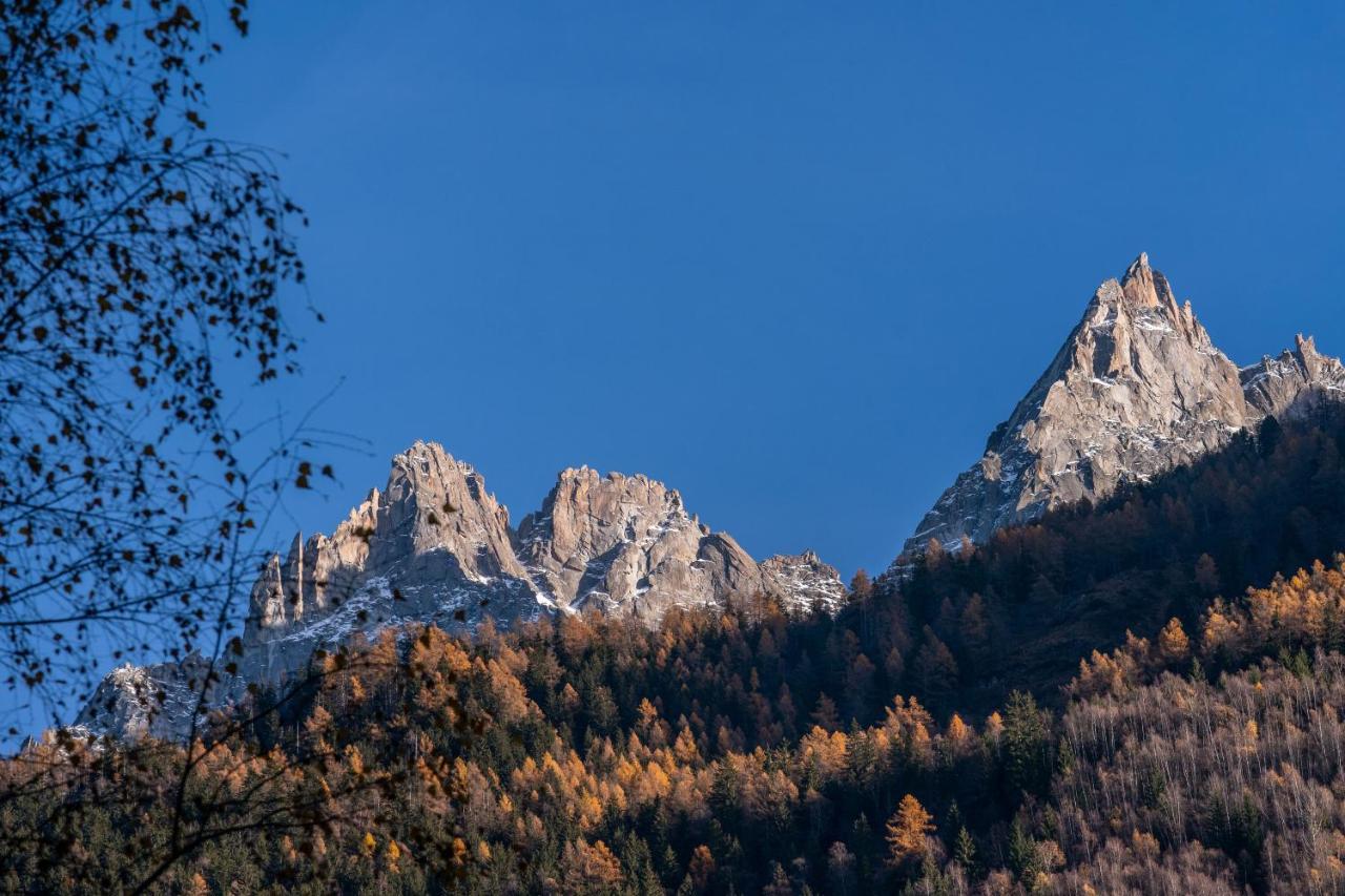 Chamois Blanc Terrasse - A Chamonix Haven Near Aiguille Du Midi Apartment ภายนอก รูปภาพ